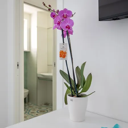 Pusiso - De Vivo Realty Pensión Península Sorrentina