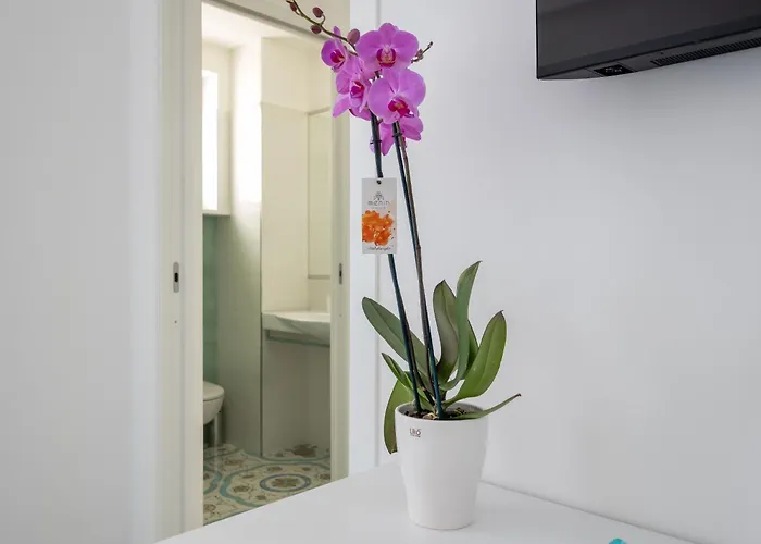 Pusiso - De Vivo Realty בית הארחה סורנטו